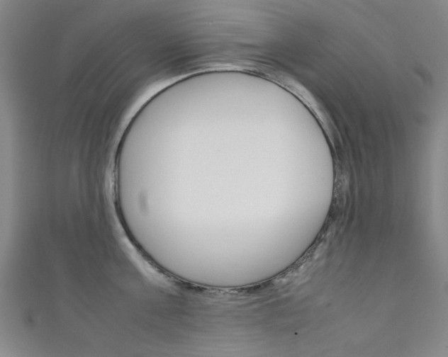 X0000111350811200907100934