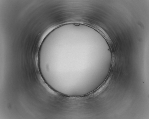 X0000111350812200907100934