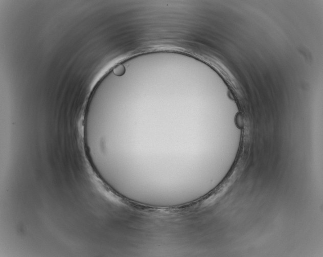 X0000111350814200907100934