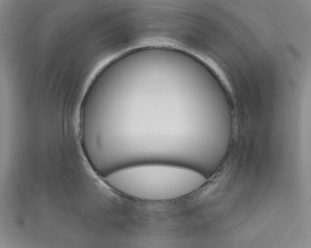 X0000111350815200907100934