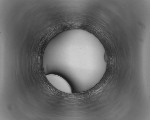 X0000111350818200907100933