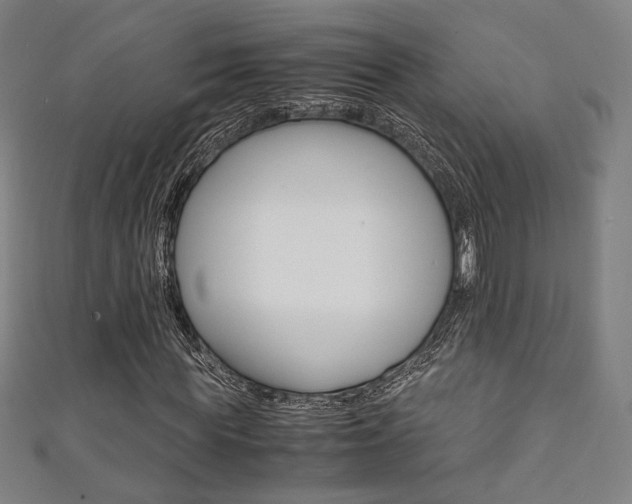 X0000111350819200907100933