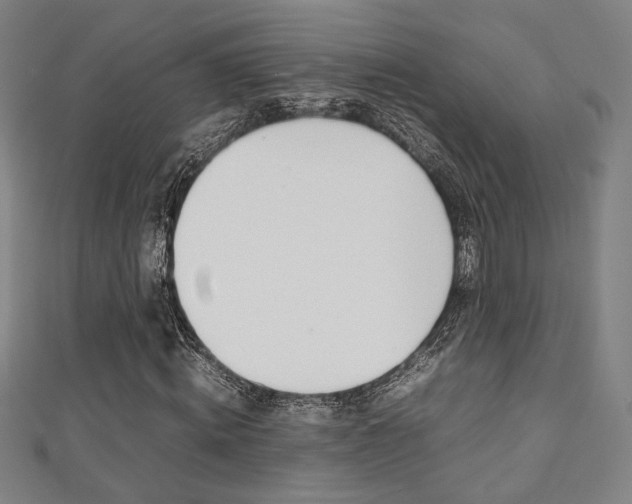 X0000111350820200907100933