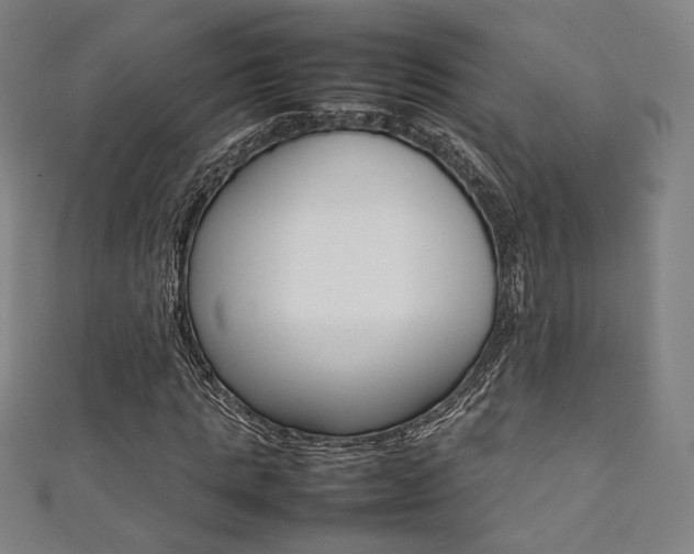 X0000111350821200907100933