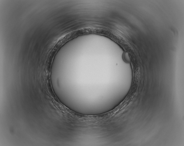 X0000111350822200907100933