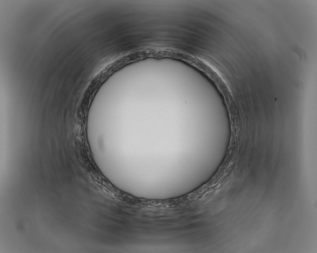 X0000111350823200907100933