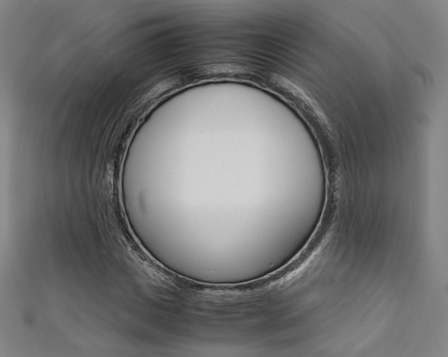 X0000111350825200907100933