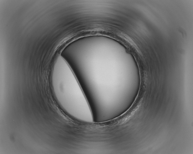 X0000111350826200907100933