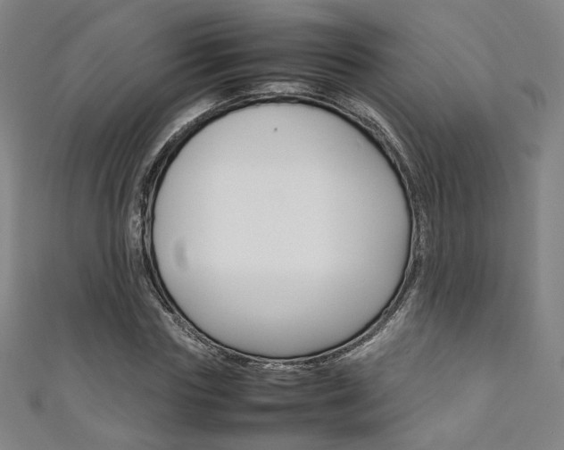 X0000111350827200907100933