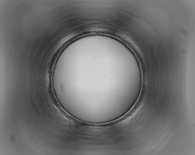 X0000111350829200907100933