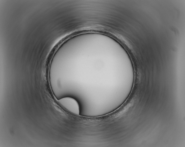 X0000111350830200907100933