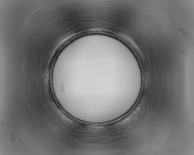 X0000111350831200907100933