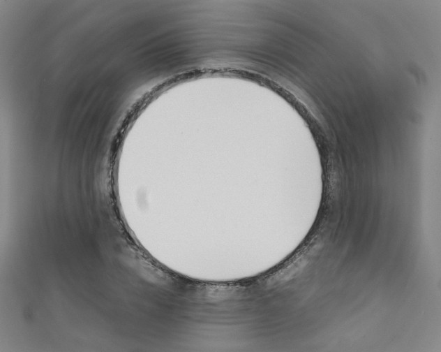 X0000111350832200907100933