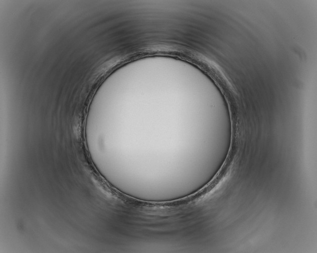 X0000111350833200907100933