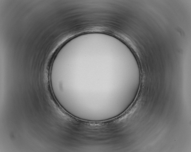 X0000111350835200907100933