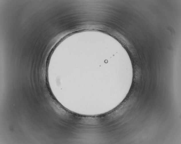 X0000111350836200907100933