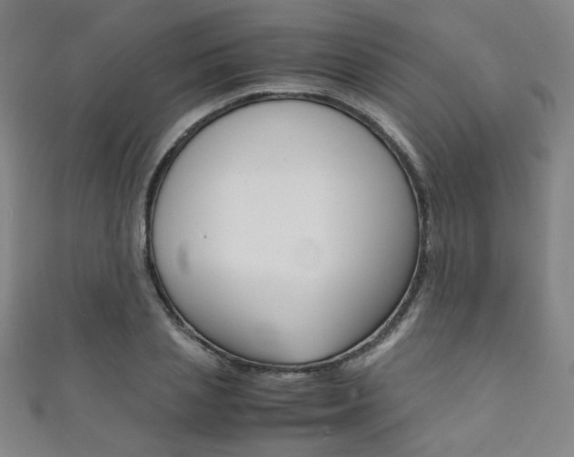 X0000111350837200907100933