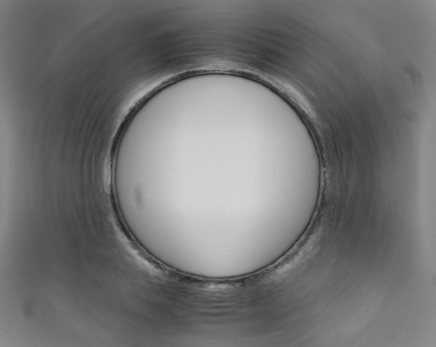 X0000111350839200907100933
