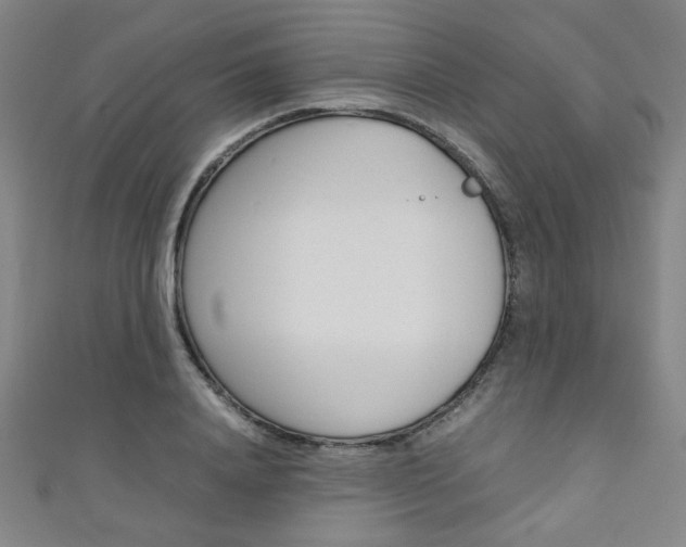 X0000111350840200907100933