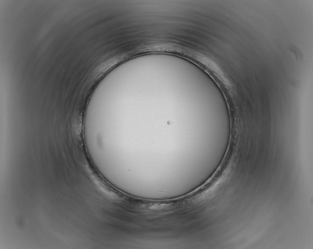 X0000111350841200907100933