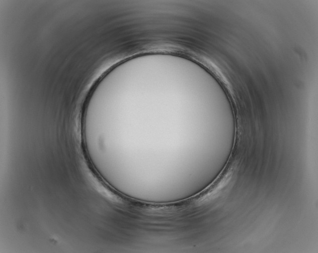 X0000111350843200907100933