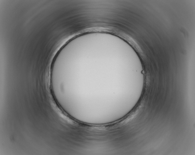 X0000111350844200907100933