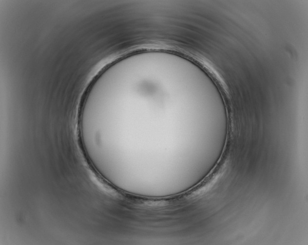 X0000111350845200907100933