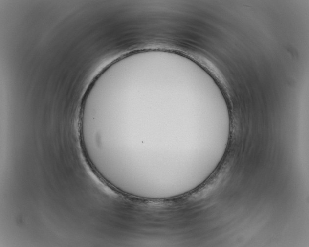 X0000111350847200907100933