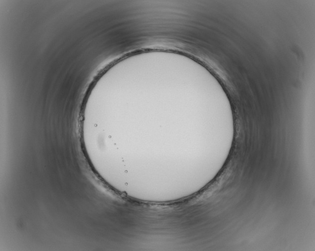 X0000111350848200907100933