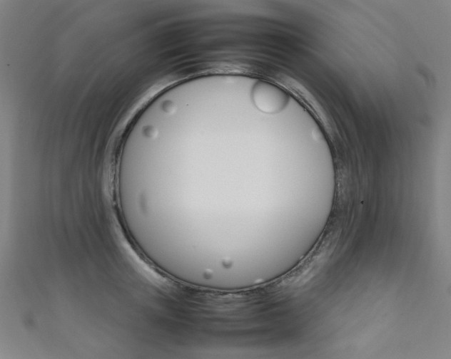 X0000111350851200907100933