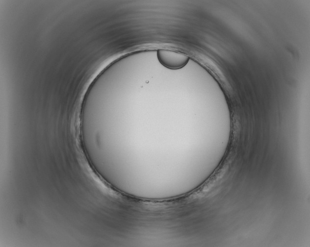 X0000111350852200907100933