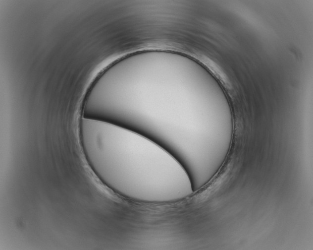 X0000111350854200907100933