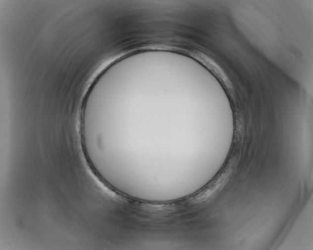 X0000111350855200907100933