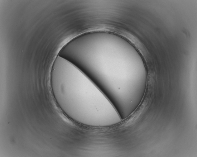 X0000111350858200907100933