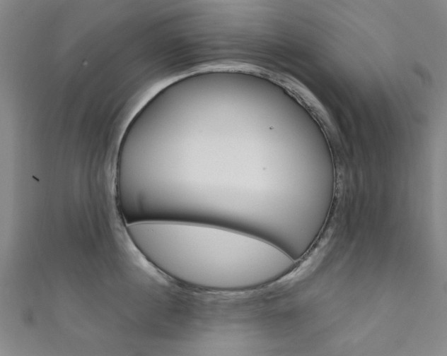 X0000111350860200907100933