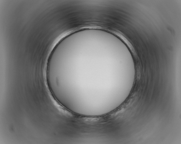 X0000111350861200907100933