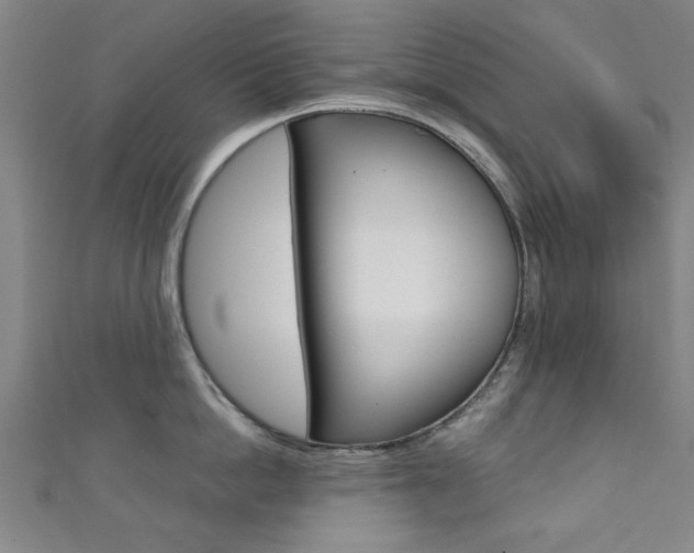 X0000111350862200907100934
