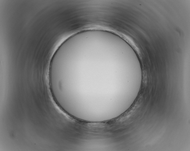 X0000111350863200907100934