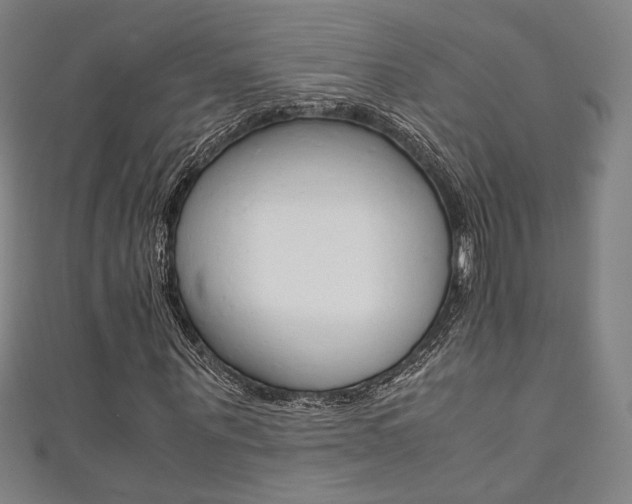 X0000111350867200907100933