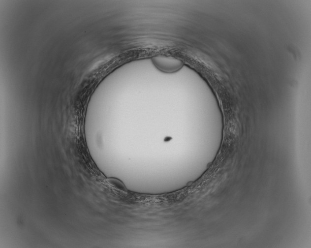 X0000111350869200907100933