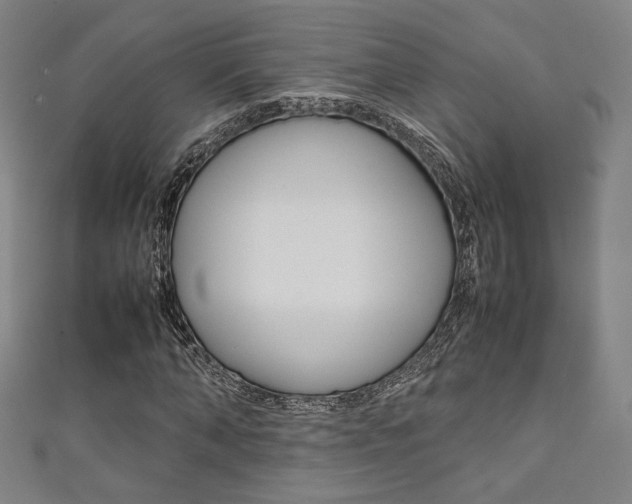 X0000111350870200907100933