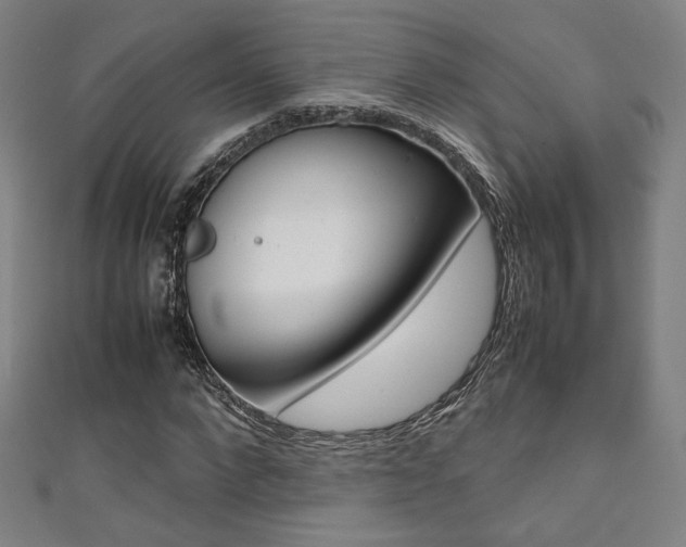X0000111350872200907100933
