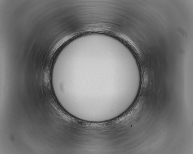 X0000111350874200907100933