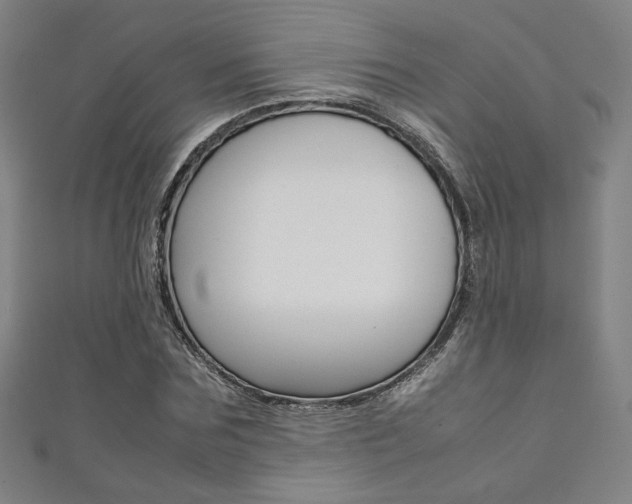X0000111350875200907100933