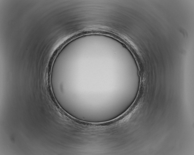 X0000111350877200907100933