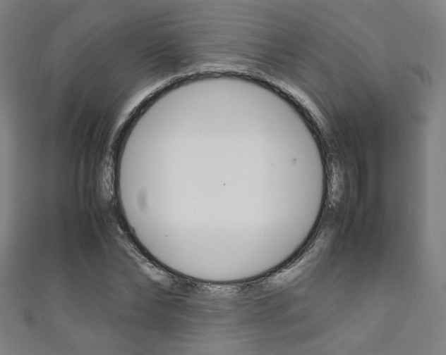 X0000111350878200907100933
