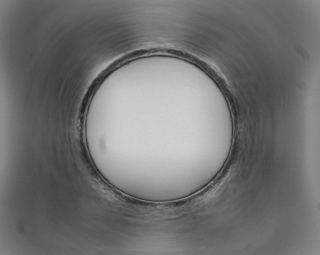 X0000111350879200907100933