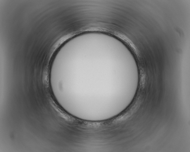 X0000111350882200907100933