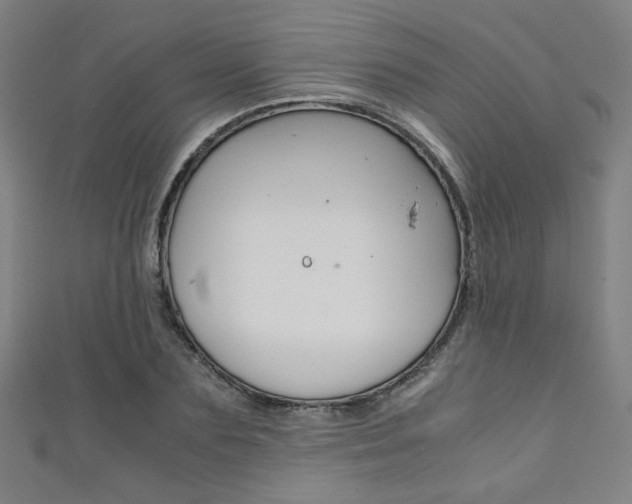 X0000111350883200907100933