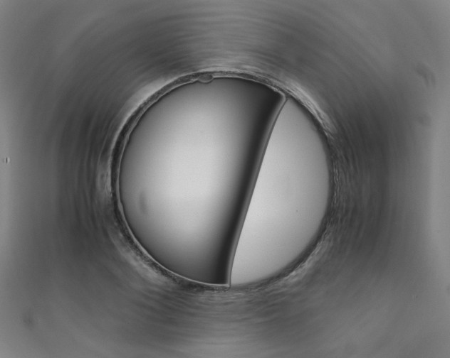 X0000111350884200907100933